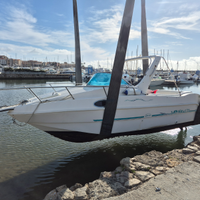 Saver Manta 620 mercury 115 v