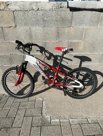 bicicletta