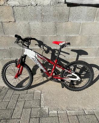 bicicletta
