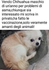 purtroppo devo toglierlo per problemi di salute 
