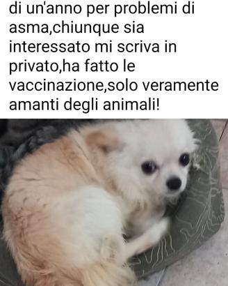 purtroppo devo toglierlo per problemi di salute 