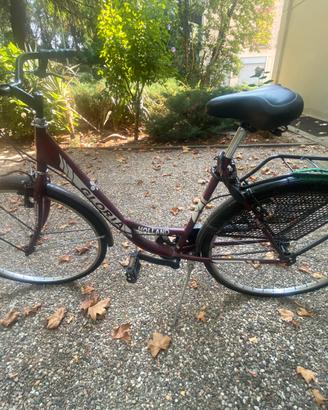 Bicicletta da passeggio Gloria Holland