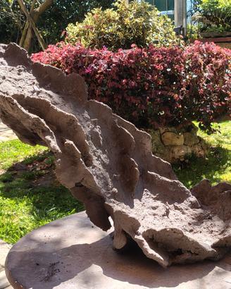 vaso struttura bonsai ishizuki 