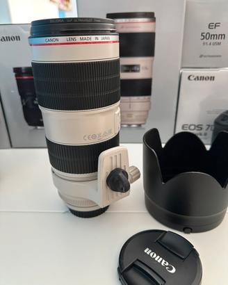 Canon 70-200 f2.8L IS II