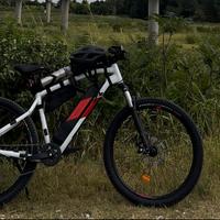 Mtb Rockrider elettrica a pedalata assistita