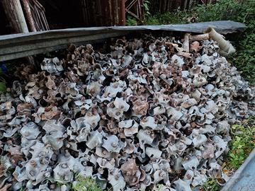 GIUNTI ORTOGONALI, TAVOLE METALLICHE, ETC