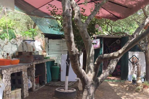 Terreno Agricolo oliveto