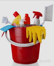 Addetta alle pulizie