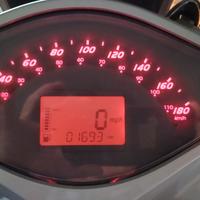 Malaguti Password 250 - 2013