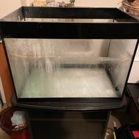 Askoll Pure Led Aquarium Kit