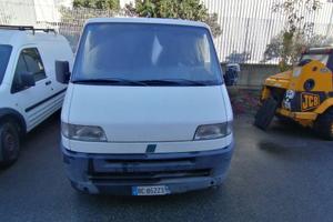 (Lotto n. 3 Fiat Ducato) - Vendita con modalità ra