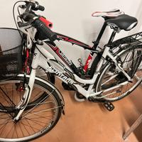 MTB Specialized e bici fontana con cesto