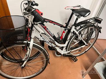 MTB Specialized e bici fontana con cesto