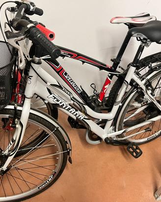 MTB Specialized e bici fontana con cesto