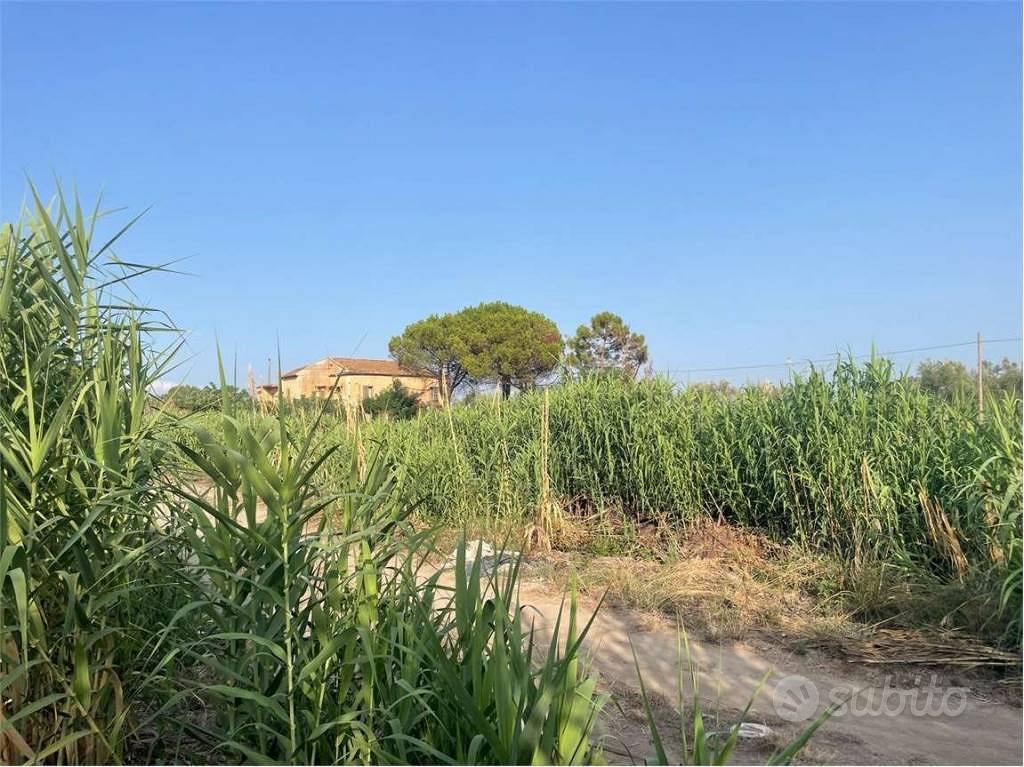 Terreno di 3650 m² a Mondragone - Vista 5