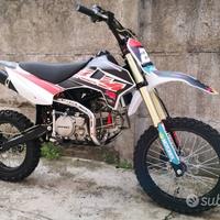 NUOVE PIT BIKE 160 replica ktm redbull 2024 mx sm