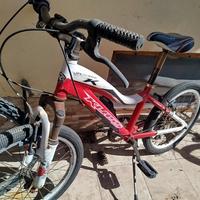 bici banbino