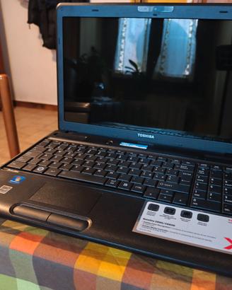 Computer toshiba