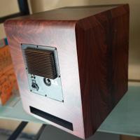 Subwoofer amplificato per casa