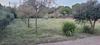 Terreno Viagrande