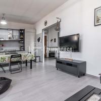 TRE LOCALI IN QUADRIFAMILIARE CON GIARDINO, TAVERN