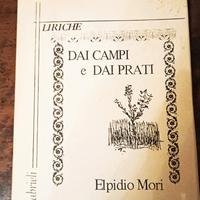 libro elmidio mori