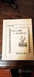 libro elmidio mori
