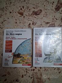 coppia di libri scolastici 