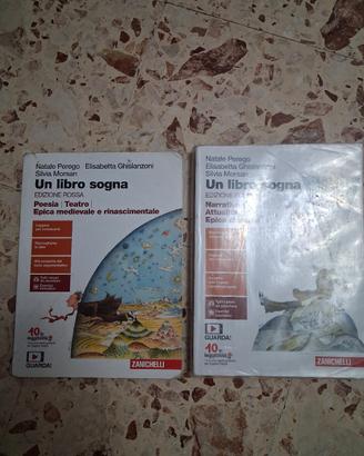 coppia di libri scolastici 