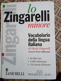 Dizionario 