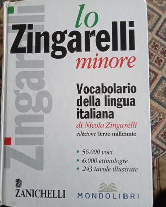 Dizionario 