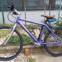 Mountain bike ragazzo