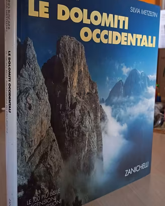 LE DOLOMITI OCCIDENTALI - METZELIN - ALPINISMO