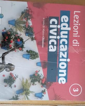 lezioni di educazione civica 