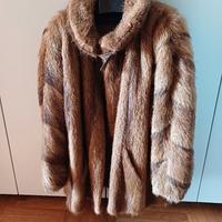 Pelliccia di castoro