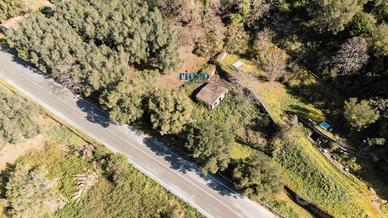 Fabbricato indipendente