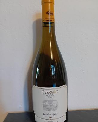 Cervaro della Sala 2024