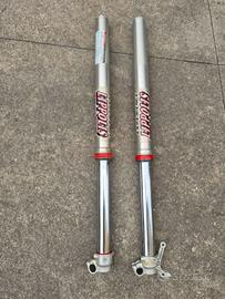 Forcelle Wp AER 48 per ktm/Husqvarna/gasgas