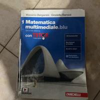 matematica blu 1