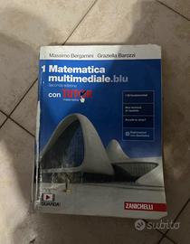 matematica blu 1