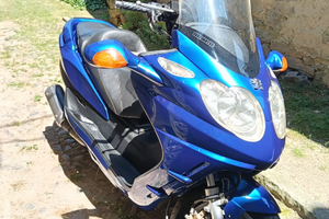 Linhai mainstreet 300 2008