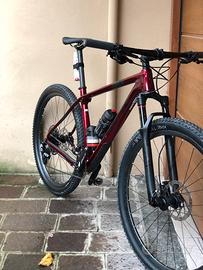 Trek lrocaliber 9.7 anno 2019