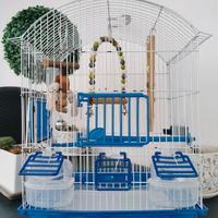 Gabbia per Cocorite Uccellini Pappagalli Canarini