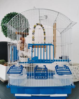 Gabbia per Cocorite Uccellini Pappagalli Canarini