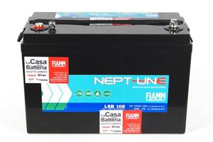 2 Batterie AGM Fiamm  