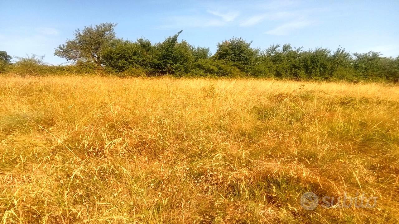 Terreno Parco Nazionale della Majella - Vista 4