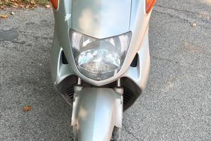Honda foresight 250