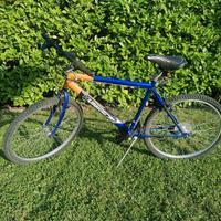 Bicicletta per ragazzo