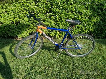 Bicicletta per ragazzo