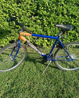 Bicicletta per ragazzo